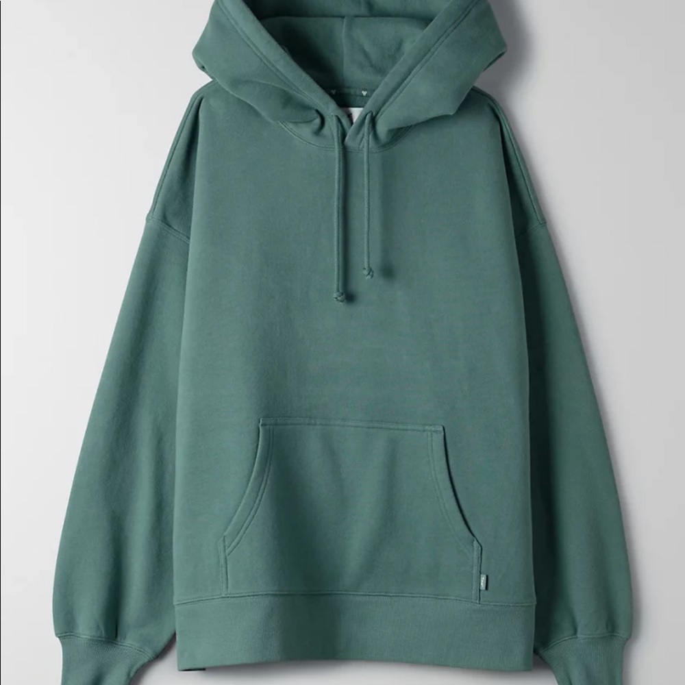 Aritzia TNA cozy af boyfriend hoodie in green tea